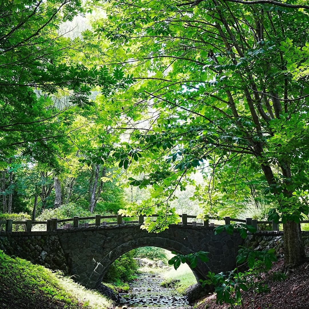 michinokupark